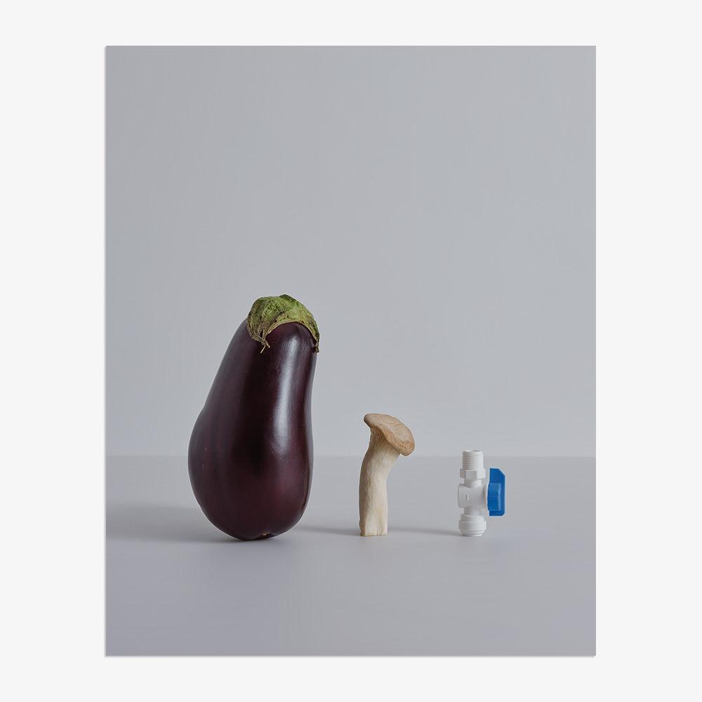 Photograph by David Kitz