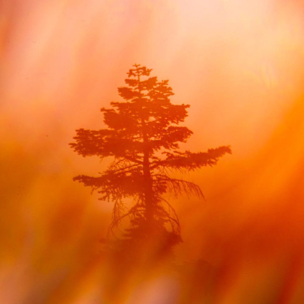 Photograph by Brian Merriam