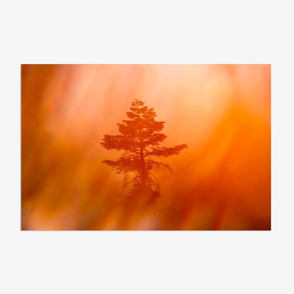 Photograph by Brian Merriam