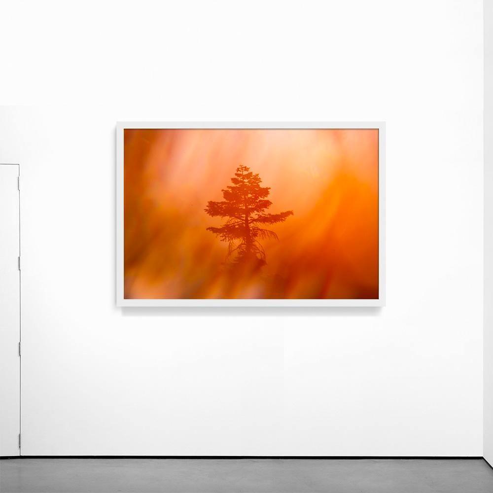 Photograph by Brian Merriam