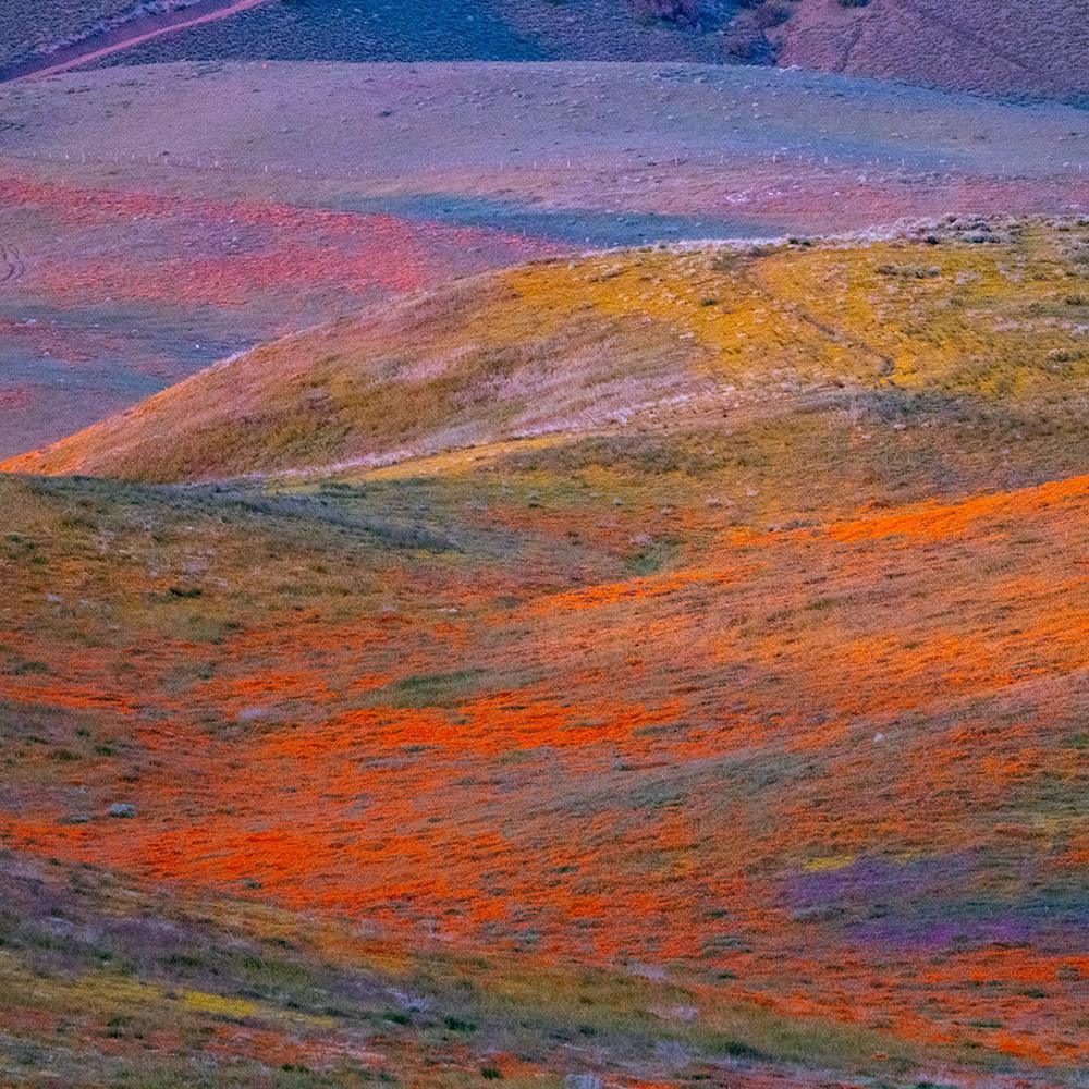 Photograph by Brian Merriam