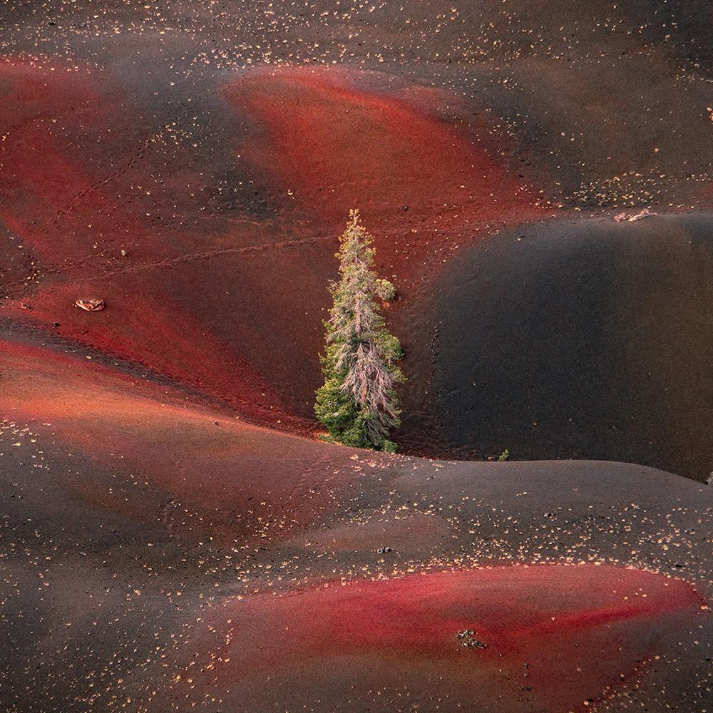 Photograph by Brian Merriam