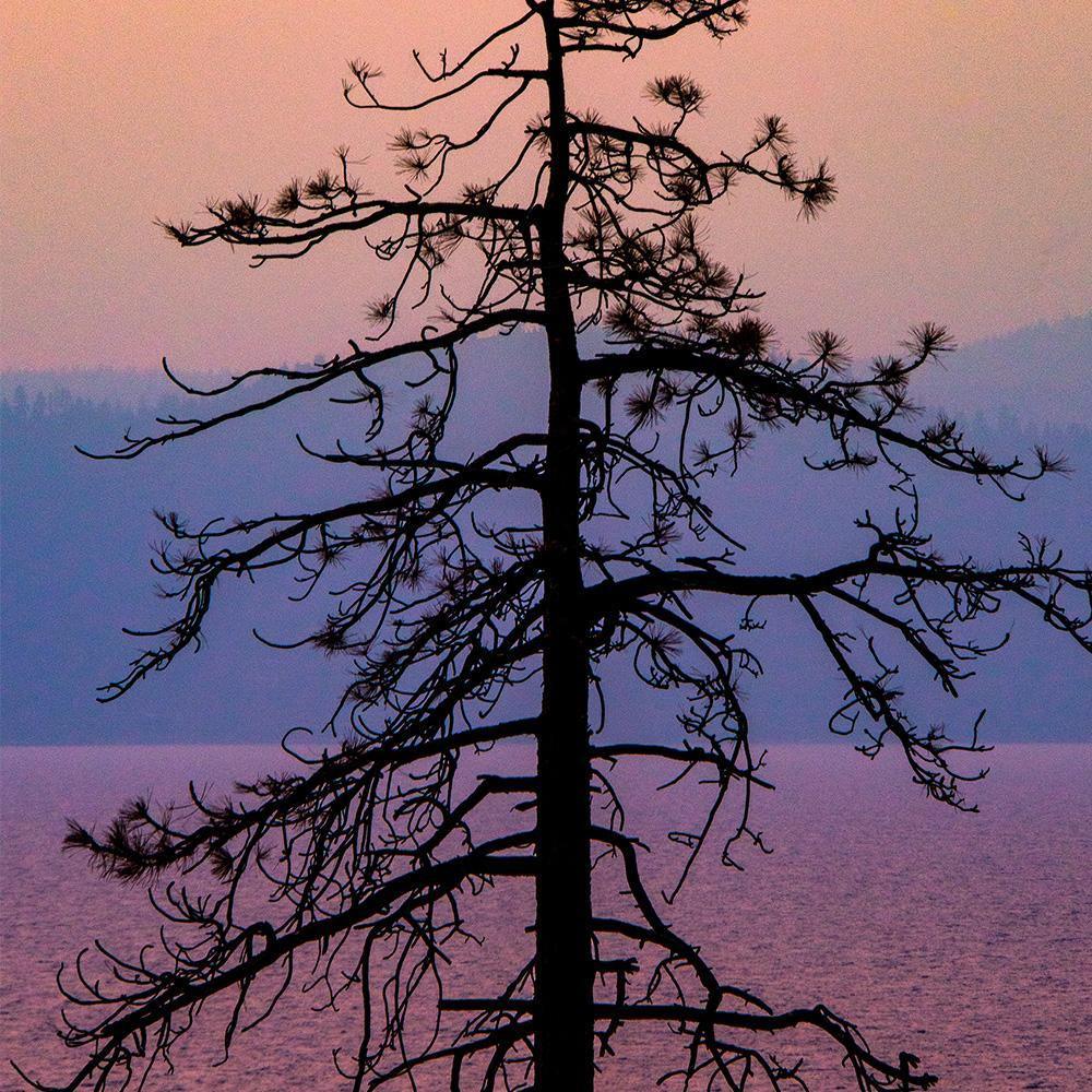 Photograph by Brian Merriam