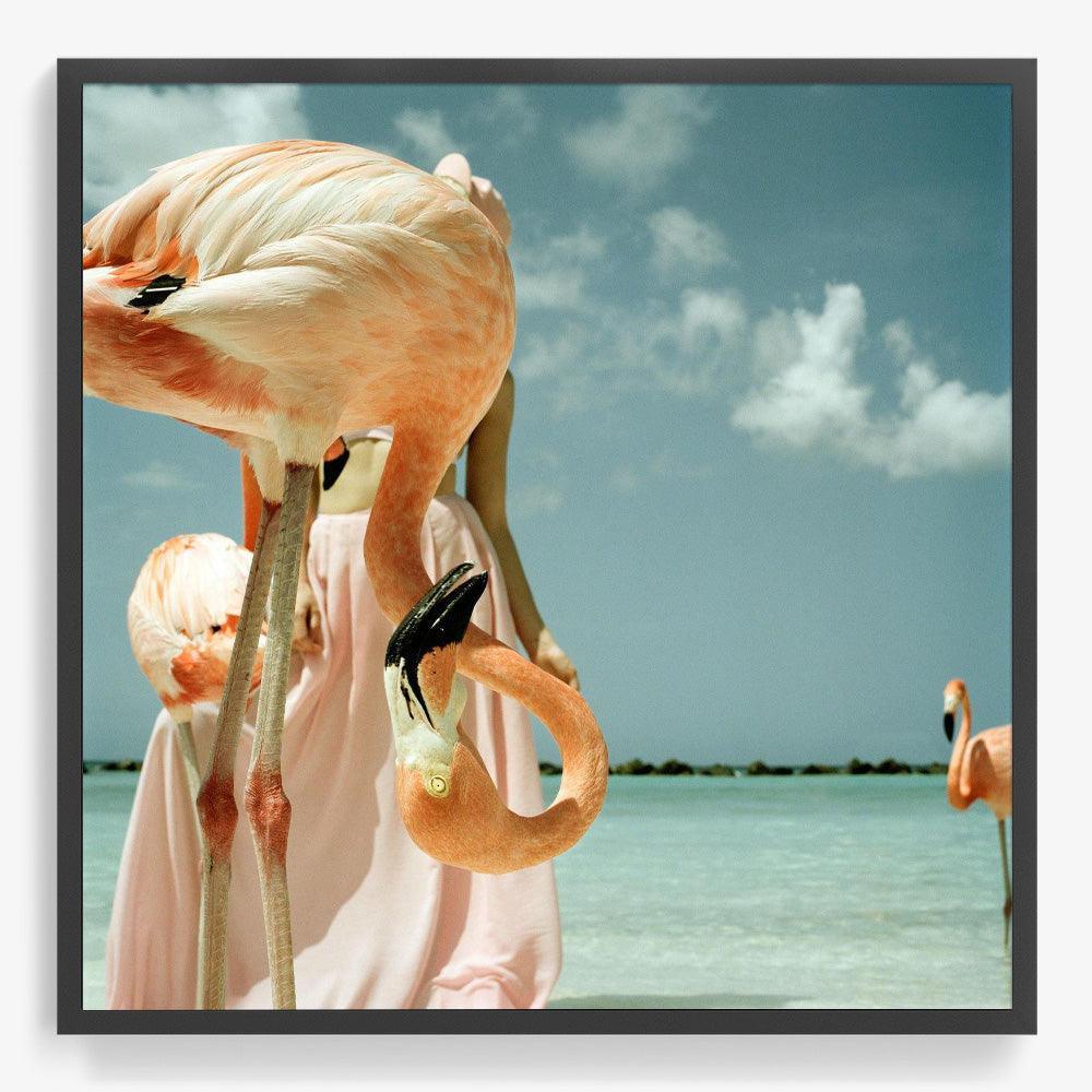 Photograph by Annelie Vandendael