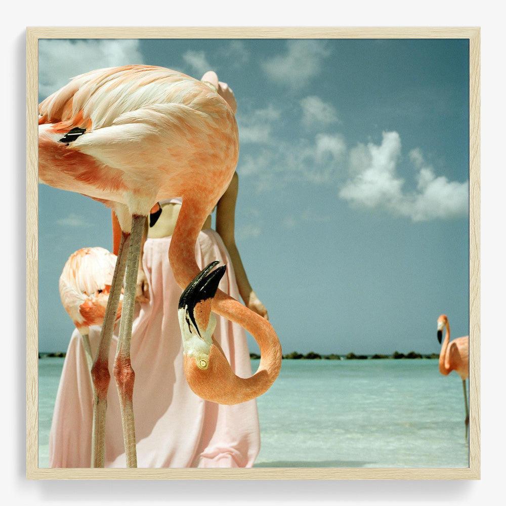 Photograph by Annelie Vandendael