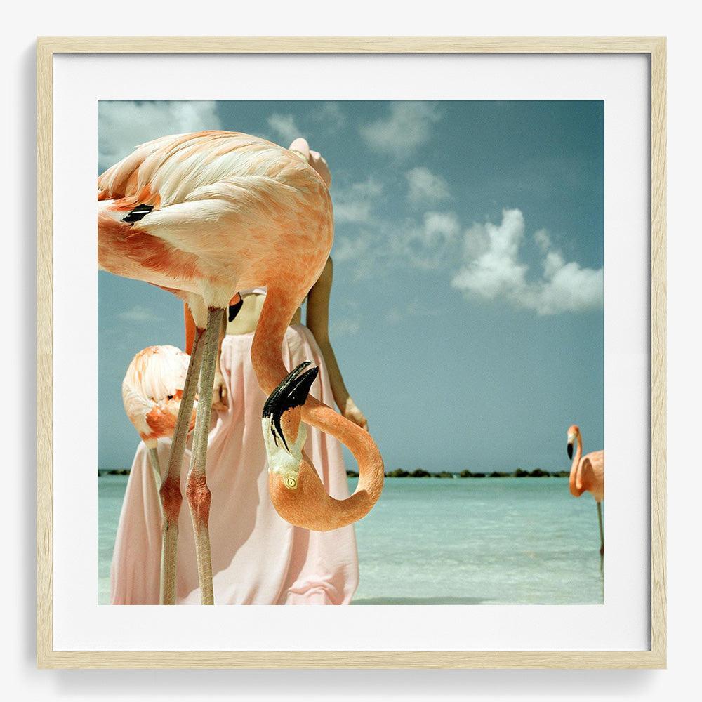 Photograph by Annelie Vandendael