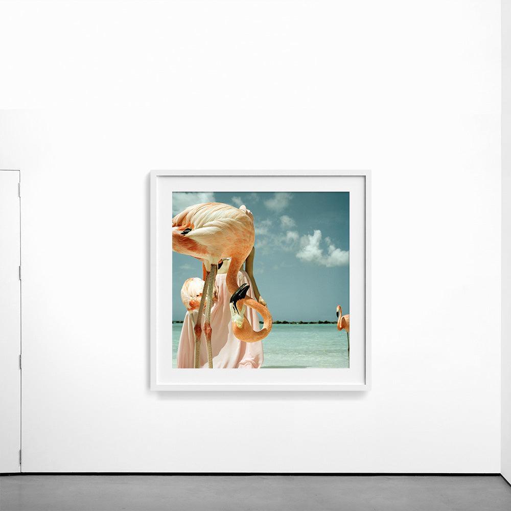 Flamingo 1 , Photograph by Flamingo 1 Tappan
