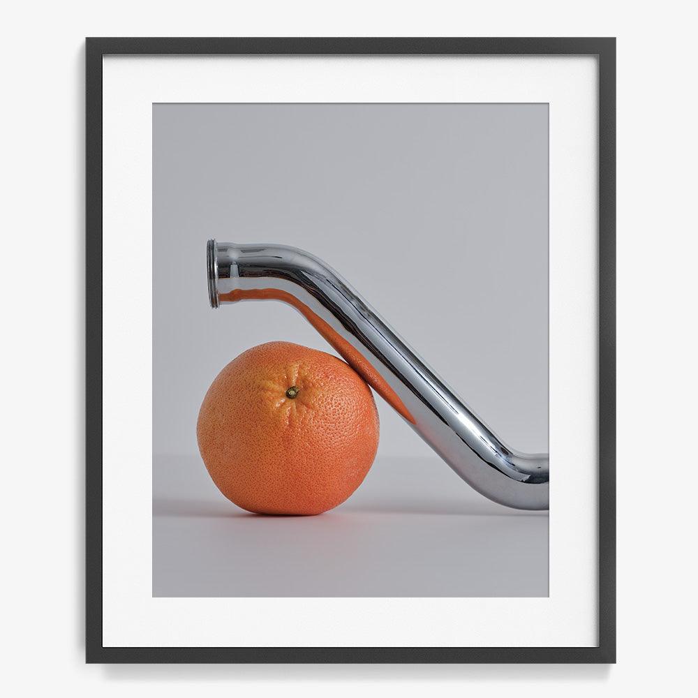 Photograph by David Kitz
