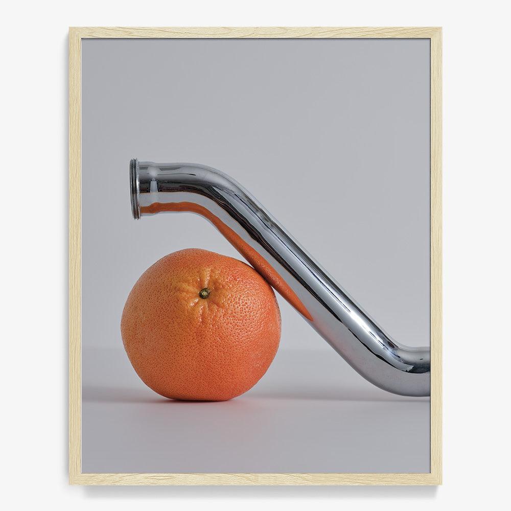 Photograph by David Kitz