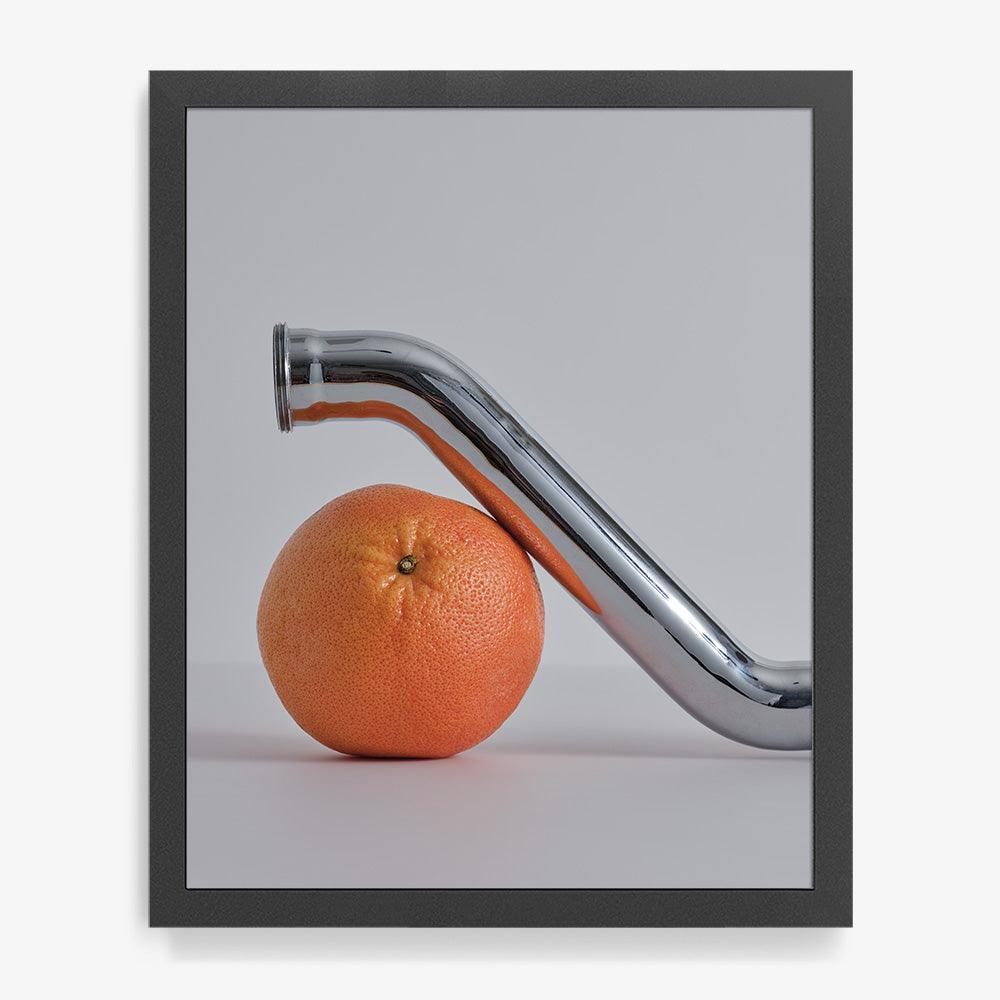 Photograph by David Kitz