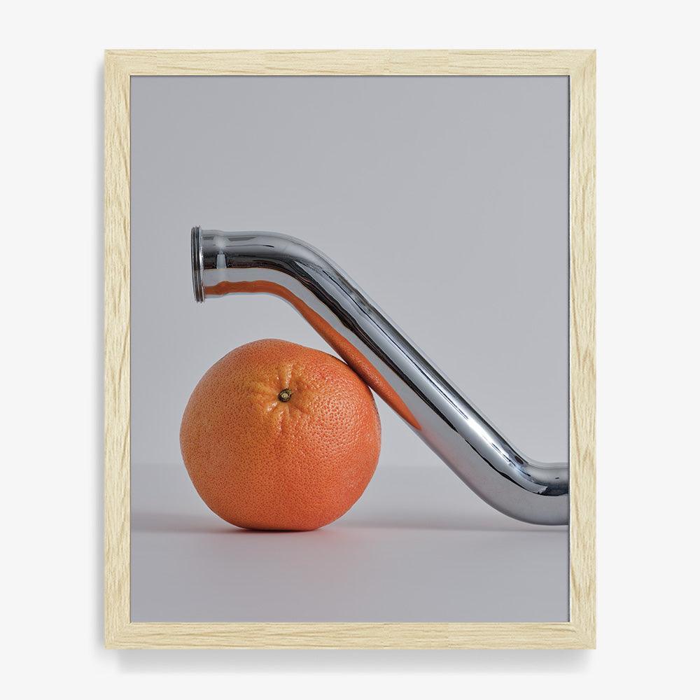 Photograph by David Kitz