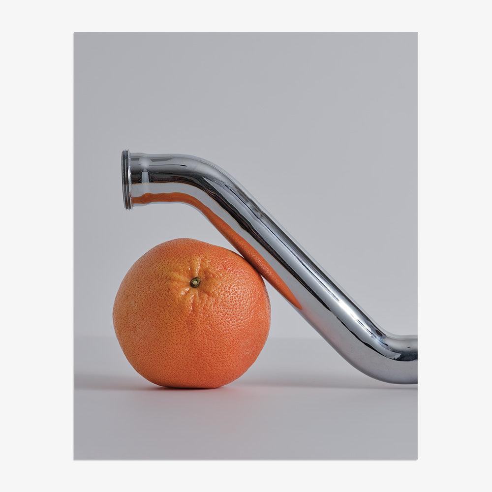 Photograph by David Kitz