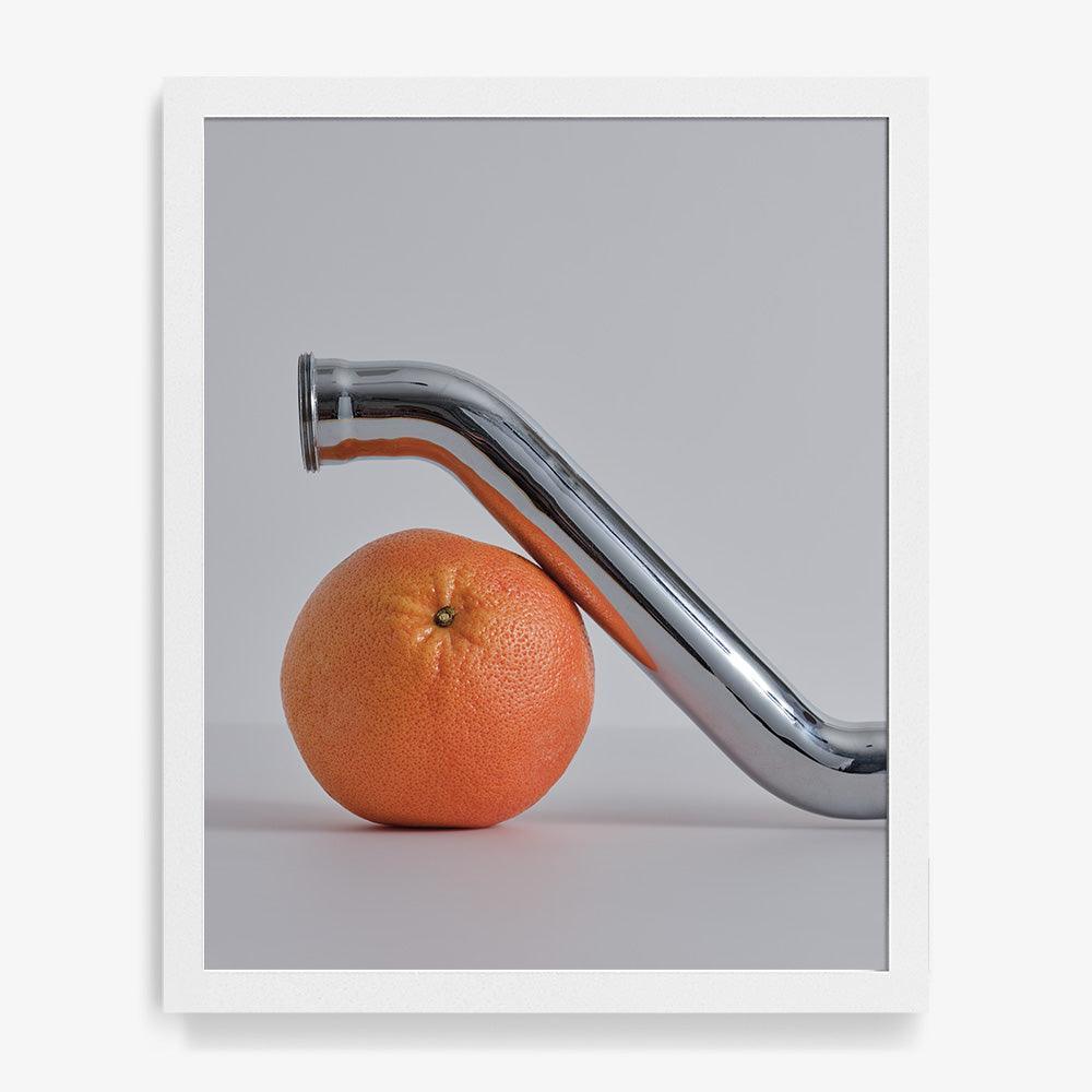 Photograph by David Kitz
