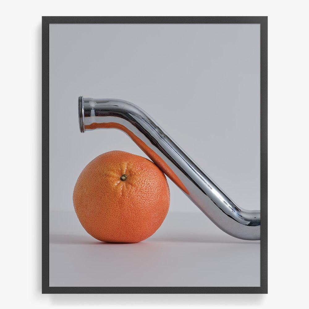Photograph by David Kitz
