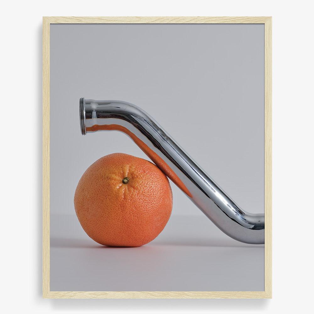Photograph by David Kitz
