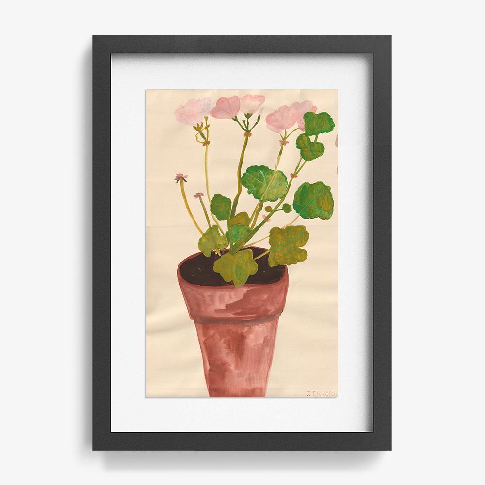 Geranium Pelagonium, Original Work on Paper  by  Geranium Pelagonium Tappan