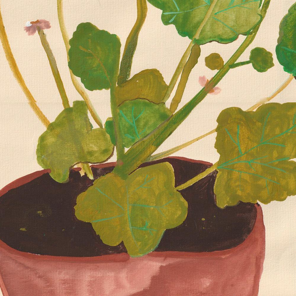 Geranium Pelagonium, Original Work on Paper  by  Geranium Pelagonium Tappan