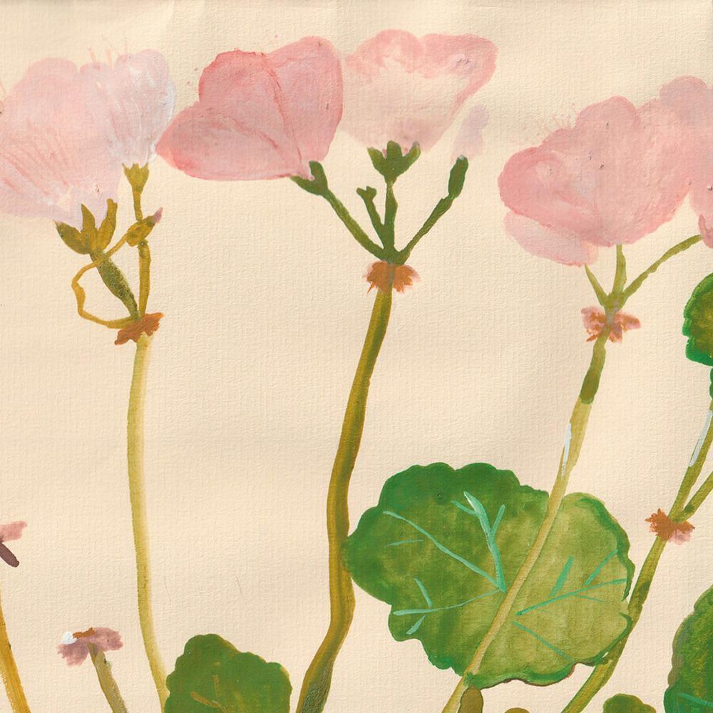 Geranium Pelagonium, Original Work on Paper  by  Geranium Pelagonium Tappan