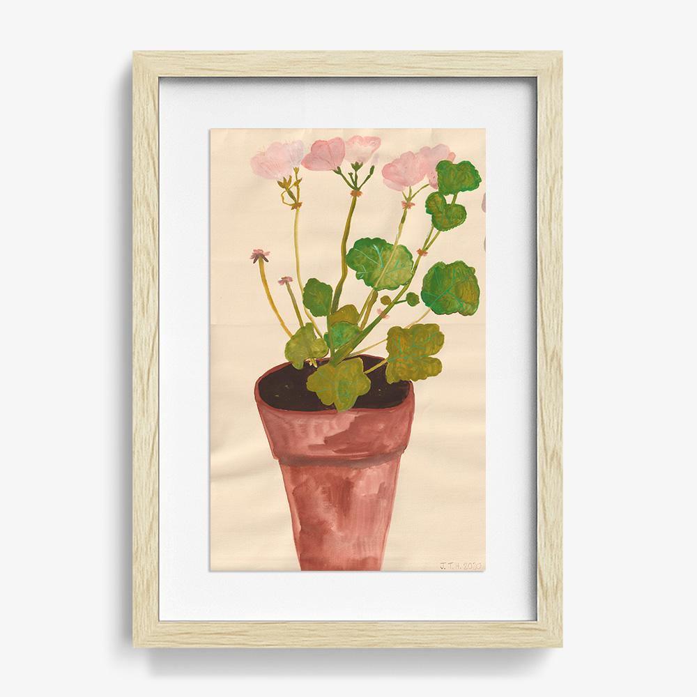 Geranium Pelagonium, Original Work on Paper  by  Geranium Pelagonium Tappan