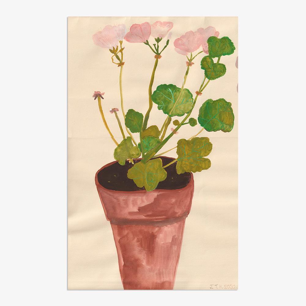 Geranium Pelagonium, Original Work on Paper  by  Geranium Pelagonium Tappan