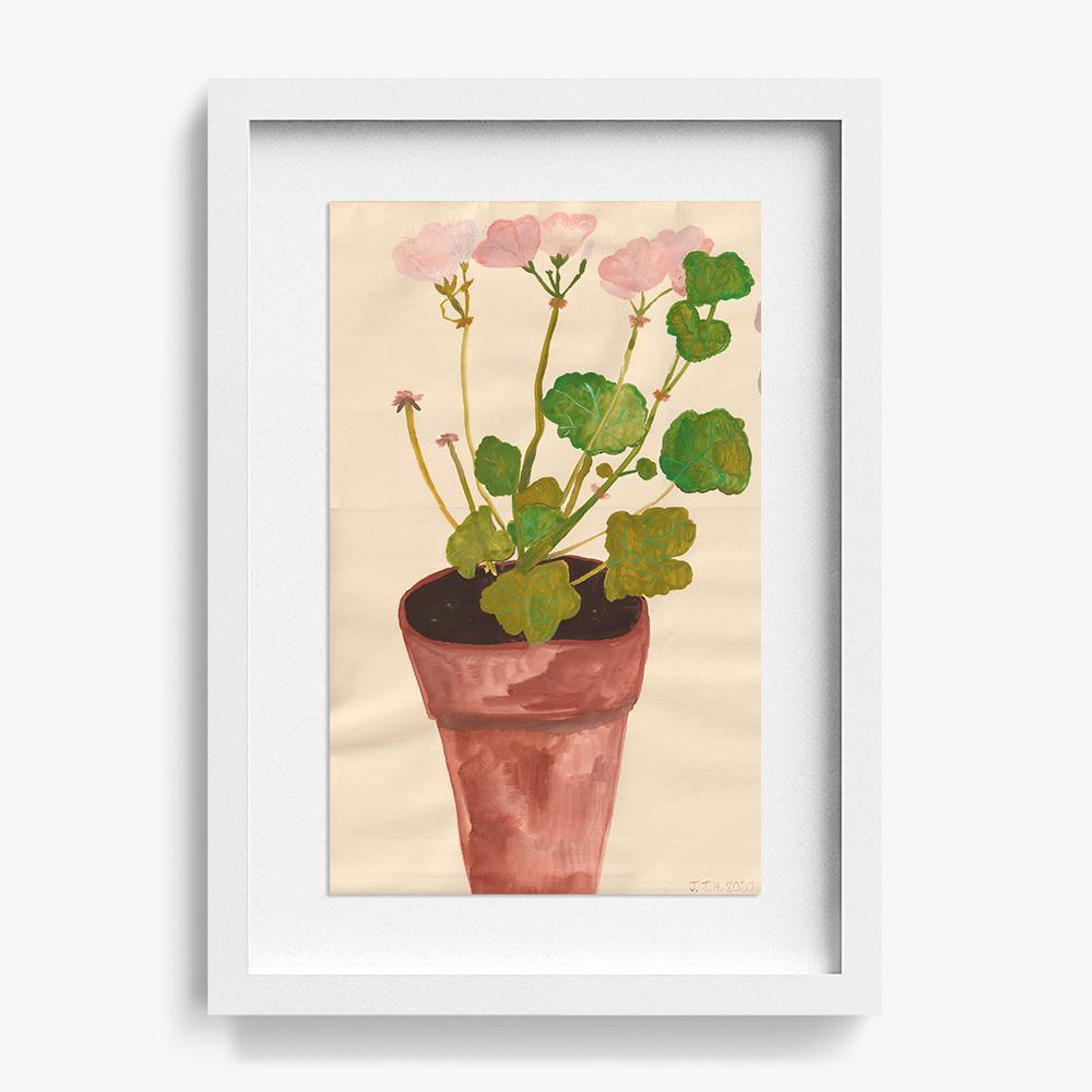 Geranium Pelagonium, Original Work on Paper  by  Geranium Pelagonium Tappan