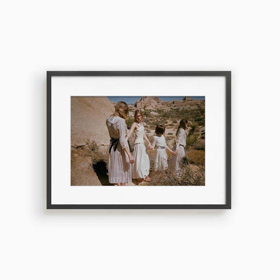 Untitled III (Joshua Tree), Photograph  by  Untitled III (Joshua Tree) Tappan