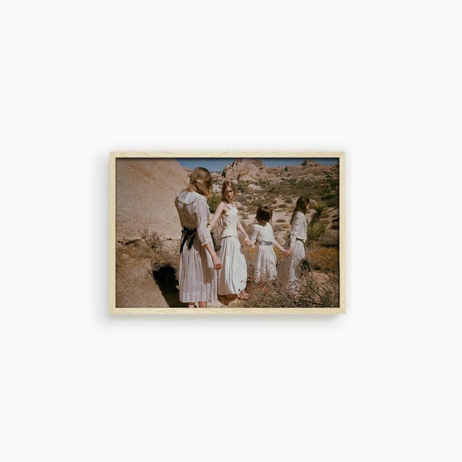 Untitled III (Joshua Tree), Photograph  by  Untitled III (Joshua Tree) Tappan