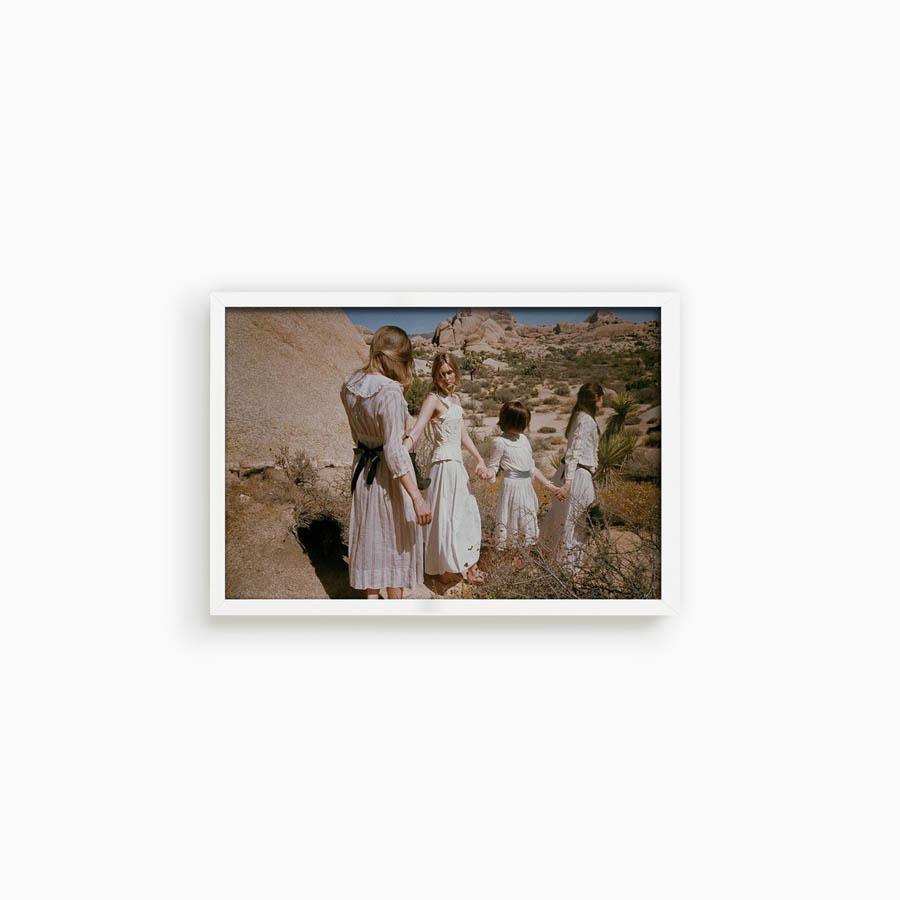 Untitled III (Joshua Tree), Photograph  by  Untitled III (Joshua Tree) Tappan