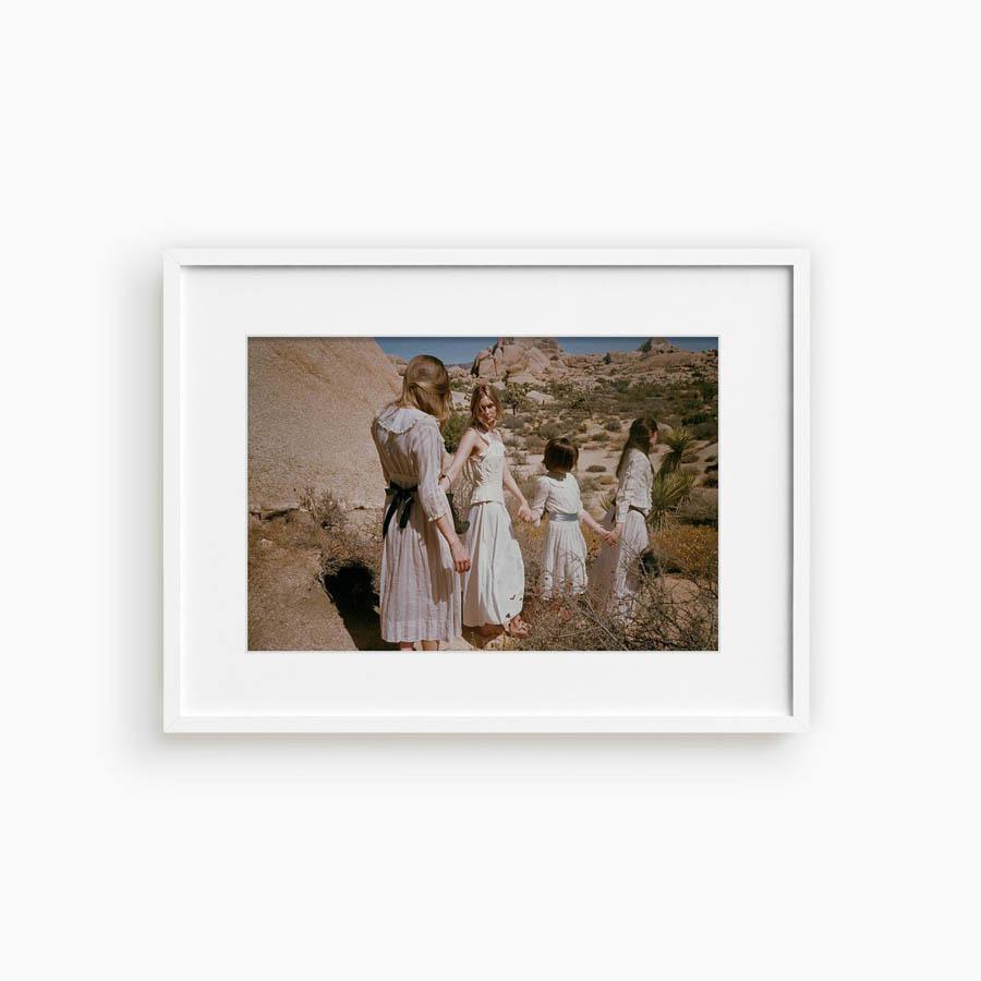 Untitled III (Joshua Tree), Photograph  by  Untitled III (Joshua Tree) Tappan