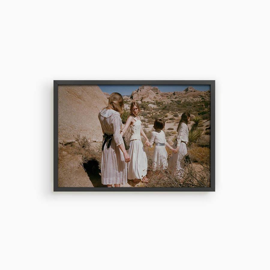 Untitled III (Joshua Tree), Photograph  by  Untitled III (Joshua Tree) Tappan
