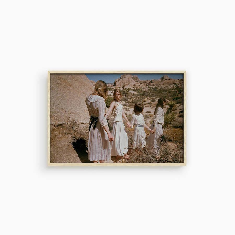 Untitled III (Joshua Tree), Photograph  by  Untitled III (Joshua Tree) Tappan
