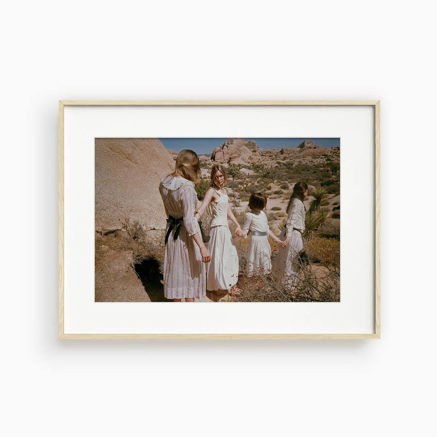 Untitled III (Joshua Tree), Photograph  by  Untitled III (Joshua Tree) Tappan