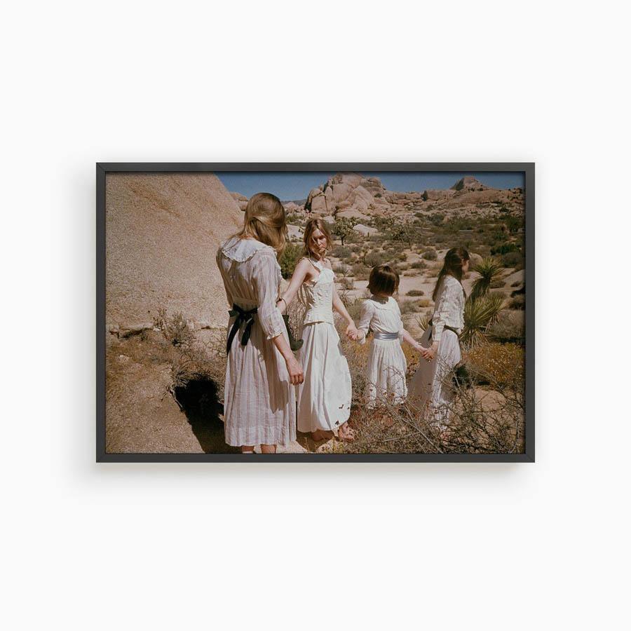 Untitled III (Joshua Tree), Photograph  by  Untitled III (Joshua Tree) Tappan