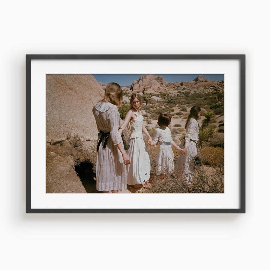 Untitled III (Joshua Tree), Photograph  by  Untitled III (Joshua Tree) Tappan