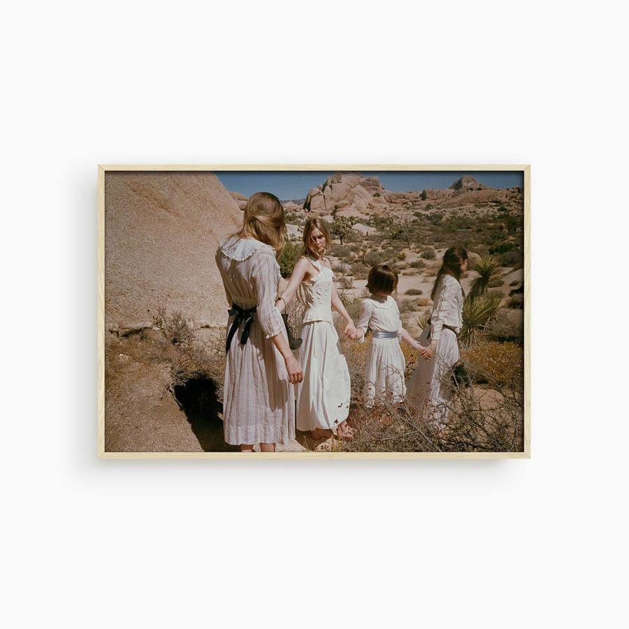 Untitled III (Joshua Tree), Photograph  by  Untitled III (Joshua Tree) Tappan
