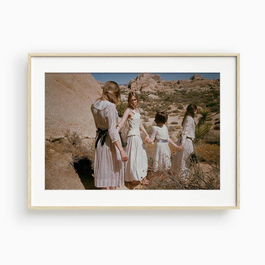 Untitled III (Joshua Tree), Photograph  by  Untitled III (Joshua Tree) Tappan