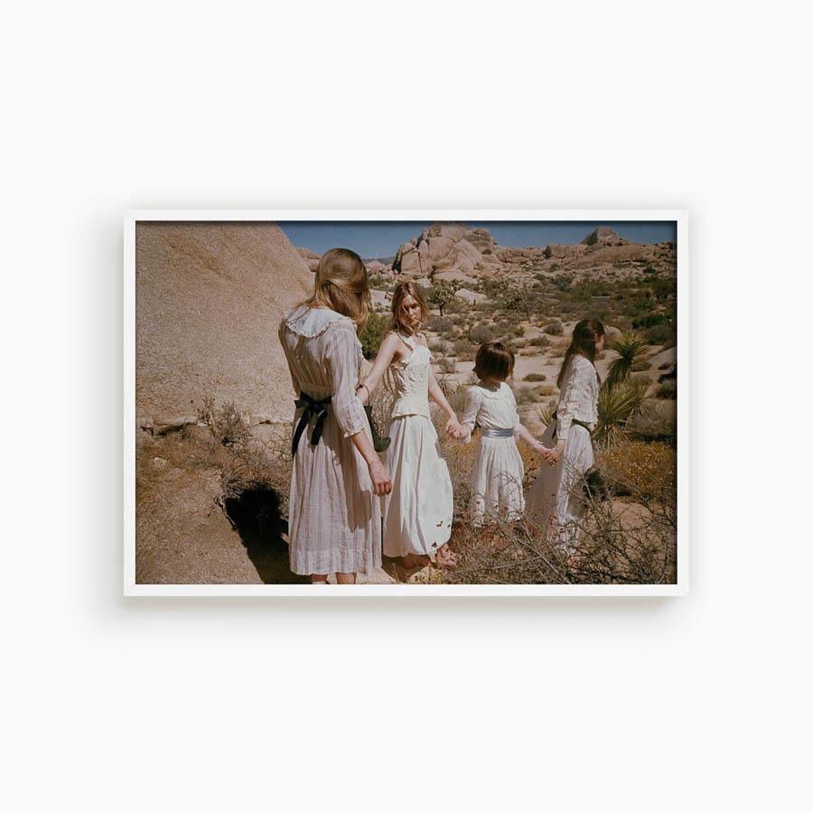 Untitled III (Joshua Tree), Photograph  by  Untitled III (Joshua Tree) Tappan