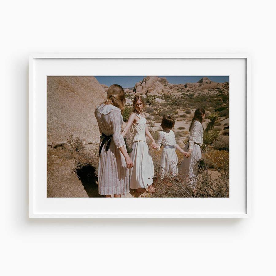 Untitled III (Joshua Tree), Photograph  by  Untitled III (Joshua Tree) Tappan