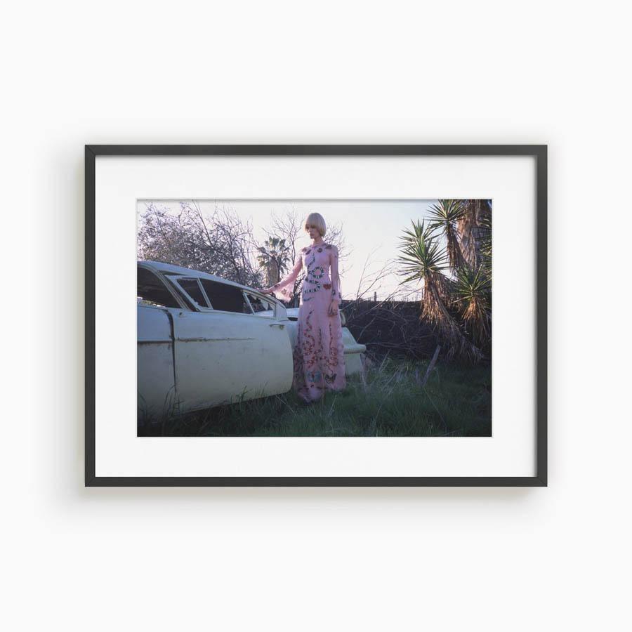 Untitled II, Photograph  by  Untitled II Tappan