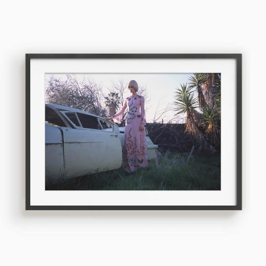 Untitled II, Photograph  by  Untitled II Tappan