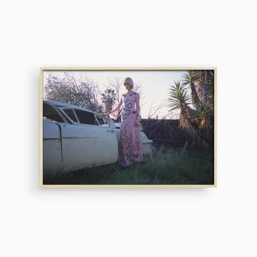 Untitled II, Photograph  by  Untitled II Tappan