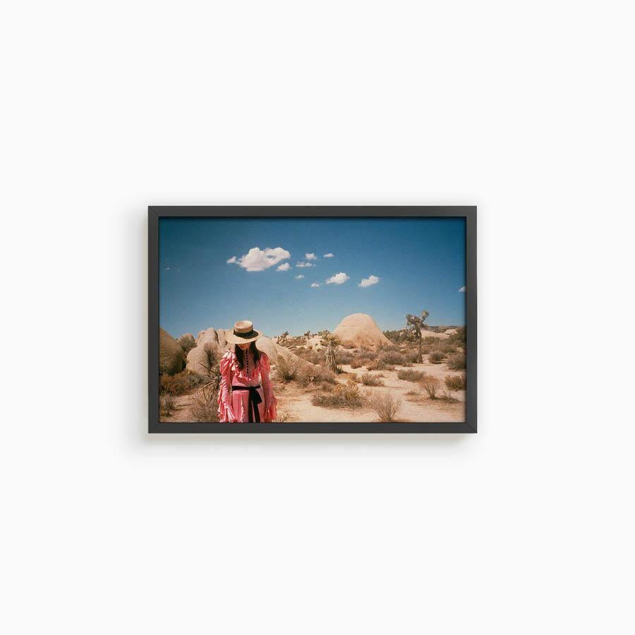 Untitled IV (Joshua Tree), Photograph  by  Untitled IV (Joshua Tree) Tappan