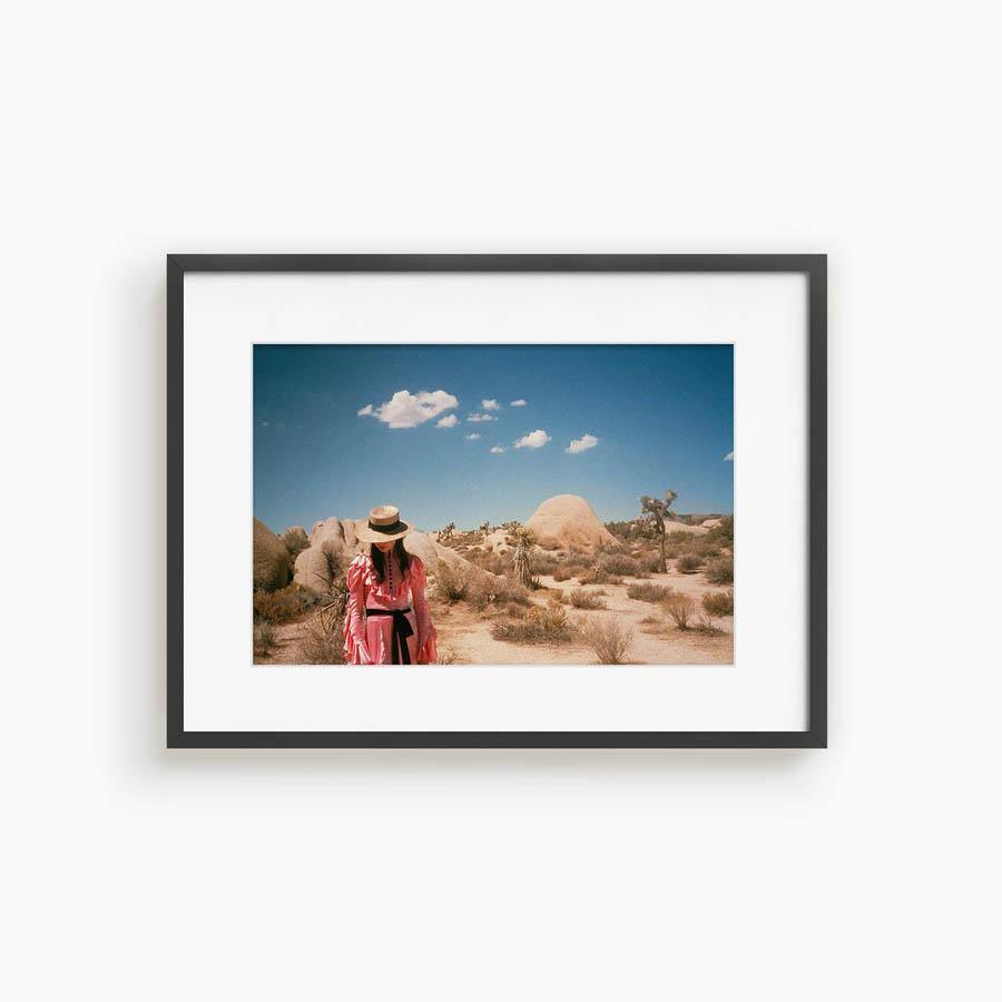 Untitled IV (Joshua Tree), Photograph  by  Untitled IV (Joshua Tree) Tappan
