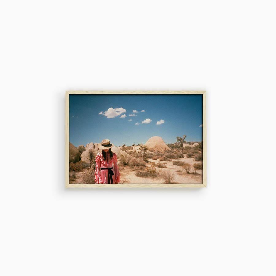 Untitled IV (Joshua Tree), Photograph  by  Untitled IV (Joshua Tree) Tappan