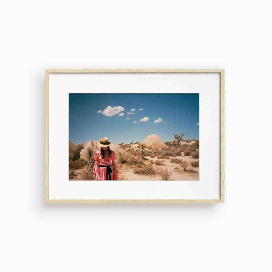 Untitled IV (Joshua Tree), Photograph  by  Untitled IV (Joshua Tree) Tappan