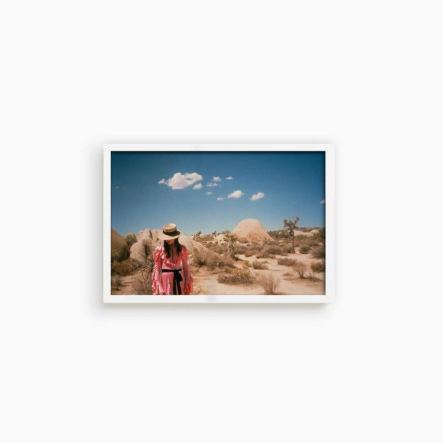 Untitled IV (Joshua Tree), Photograph  by  Untitled IV (Joshua Tree) Tappan