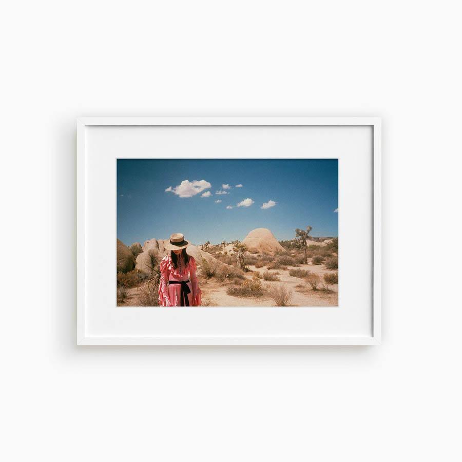 Untitled IV (Joshua Tree), Photograph  by  Untitled IV (Joshua Tree) Tappan