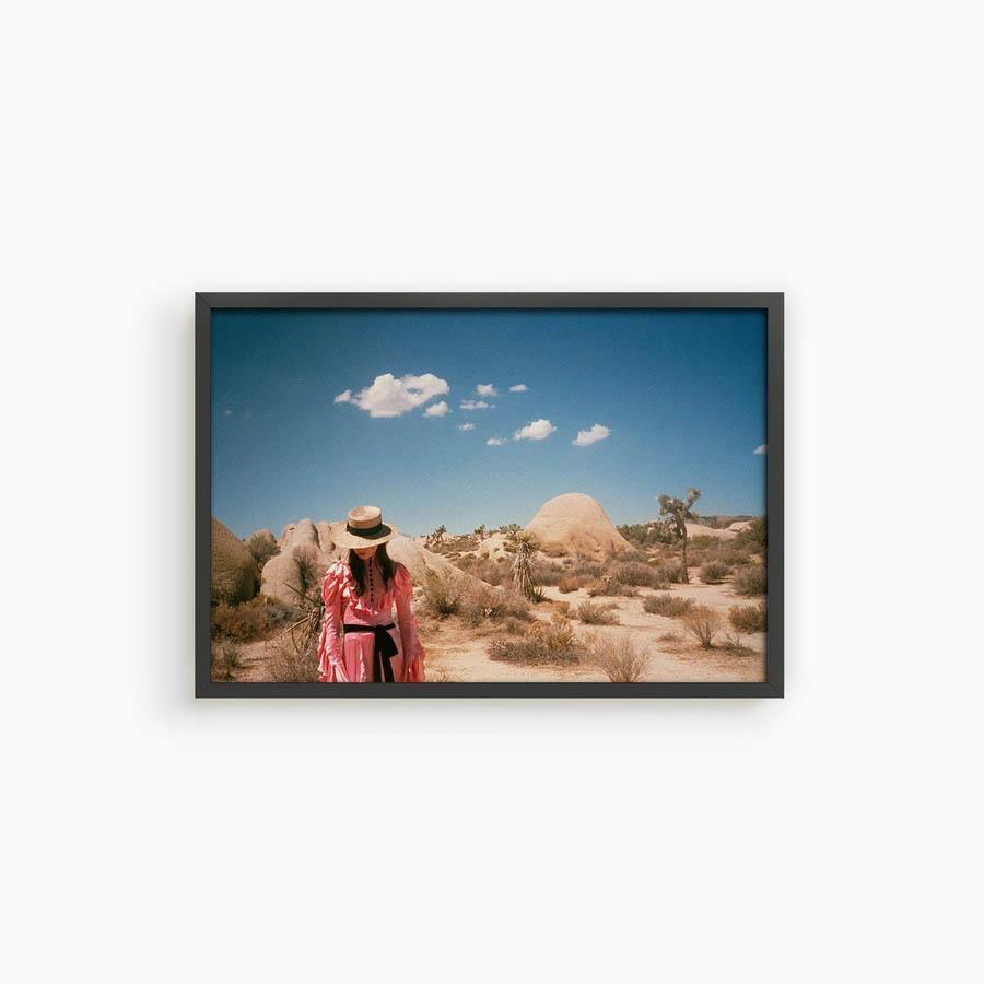 Untitled IV (Joshua Tree), Photograph  by  Untitled IV (Joshua Tree) Tappan