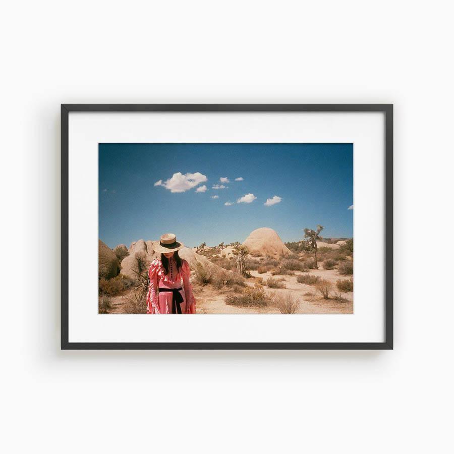 Untitled IV (Joshua Tree), Photograph  by  Untitled IV (Joshua Tree) Tappan