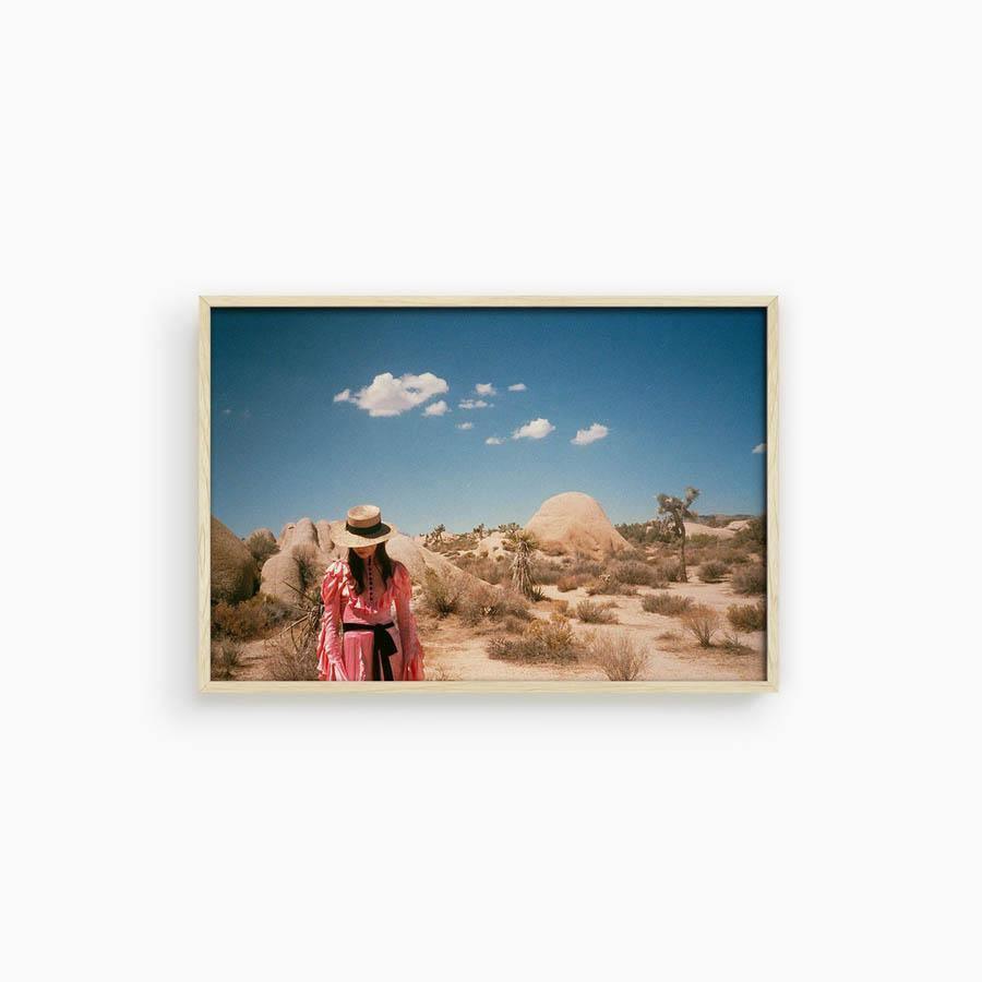 Untitled IV (Joshua Tree), Photograph  by  Untitled IV (Joshua Tree) Tappan